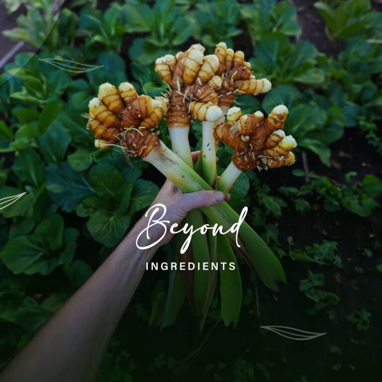 WhatsApp-Image-2025-04-18-at-1.41