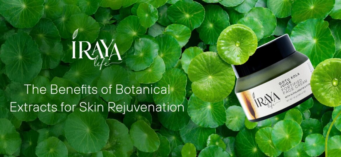 The Benefits of Botanical Extracts for Skin Rejuvenation